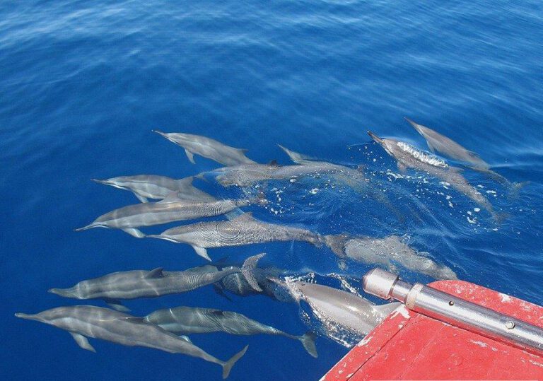 1276222x 1024 768x539