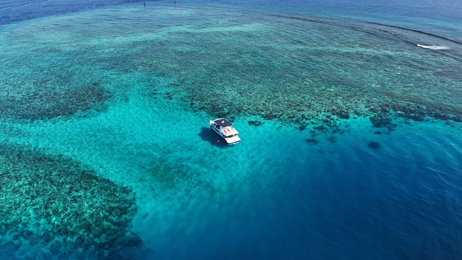 IMG 20251011 WA0019 1